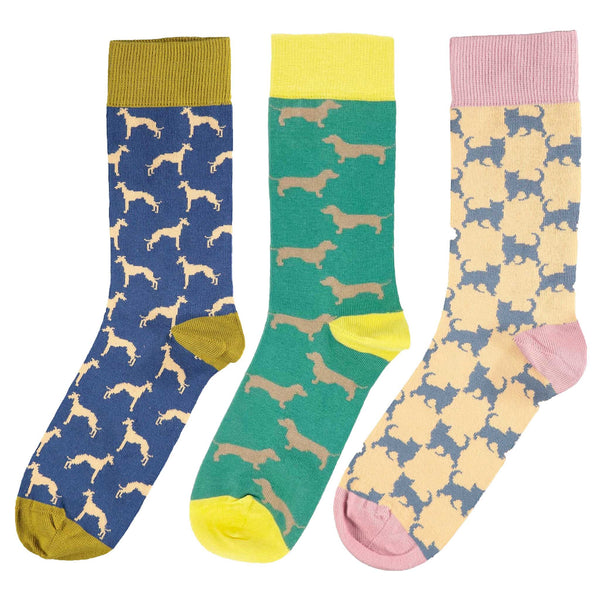 3 pk DOGS & CATS Cotton Ankle Socks for Women